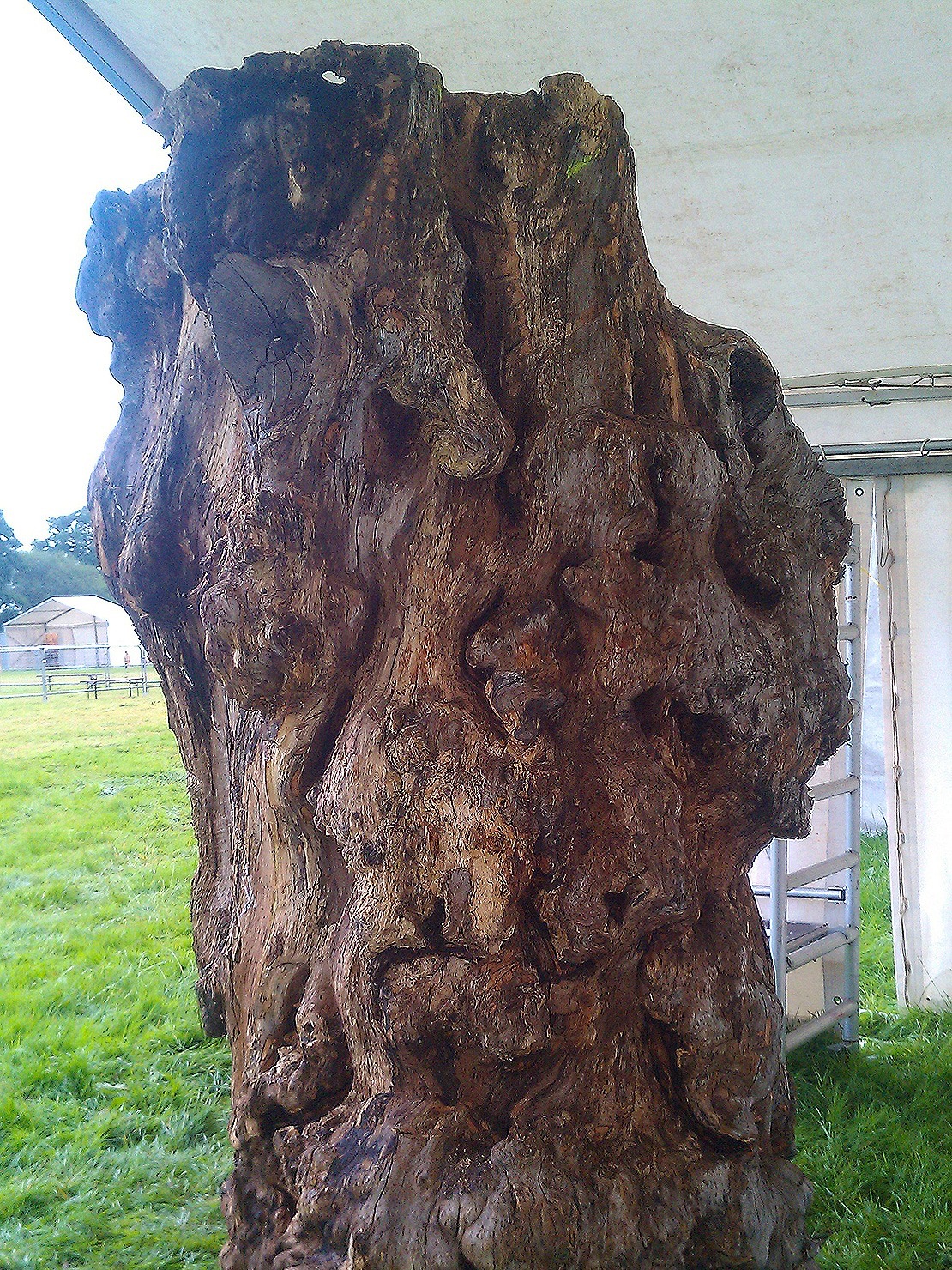 The log that I started with