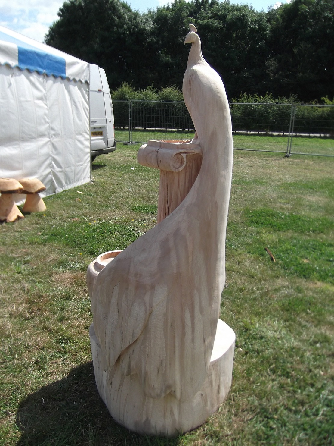 Peacock on a pillar Peacock on a pillar