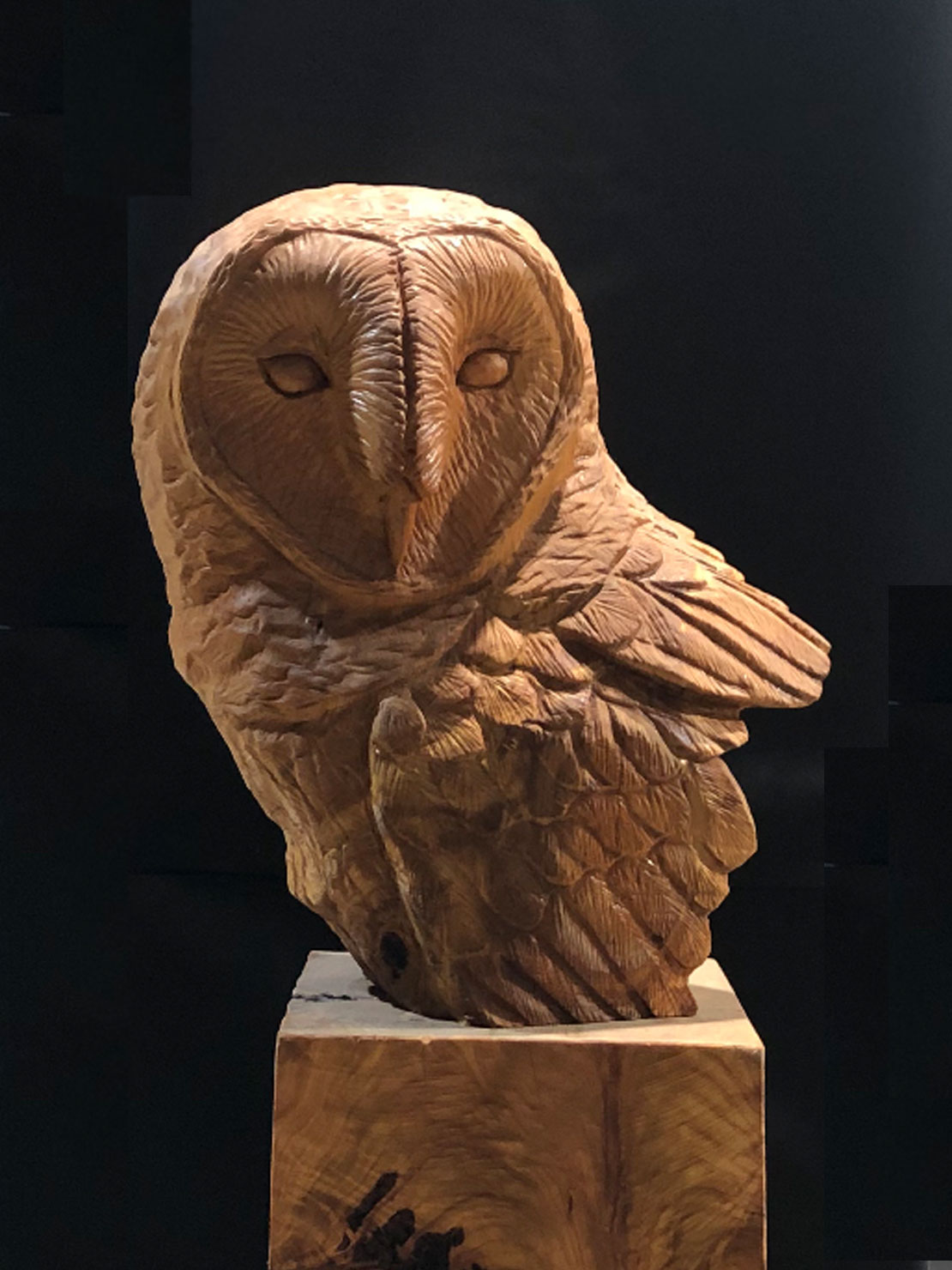 Wooden barn owl bust sculpture