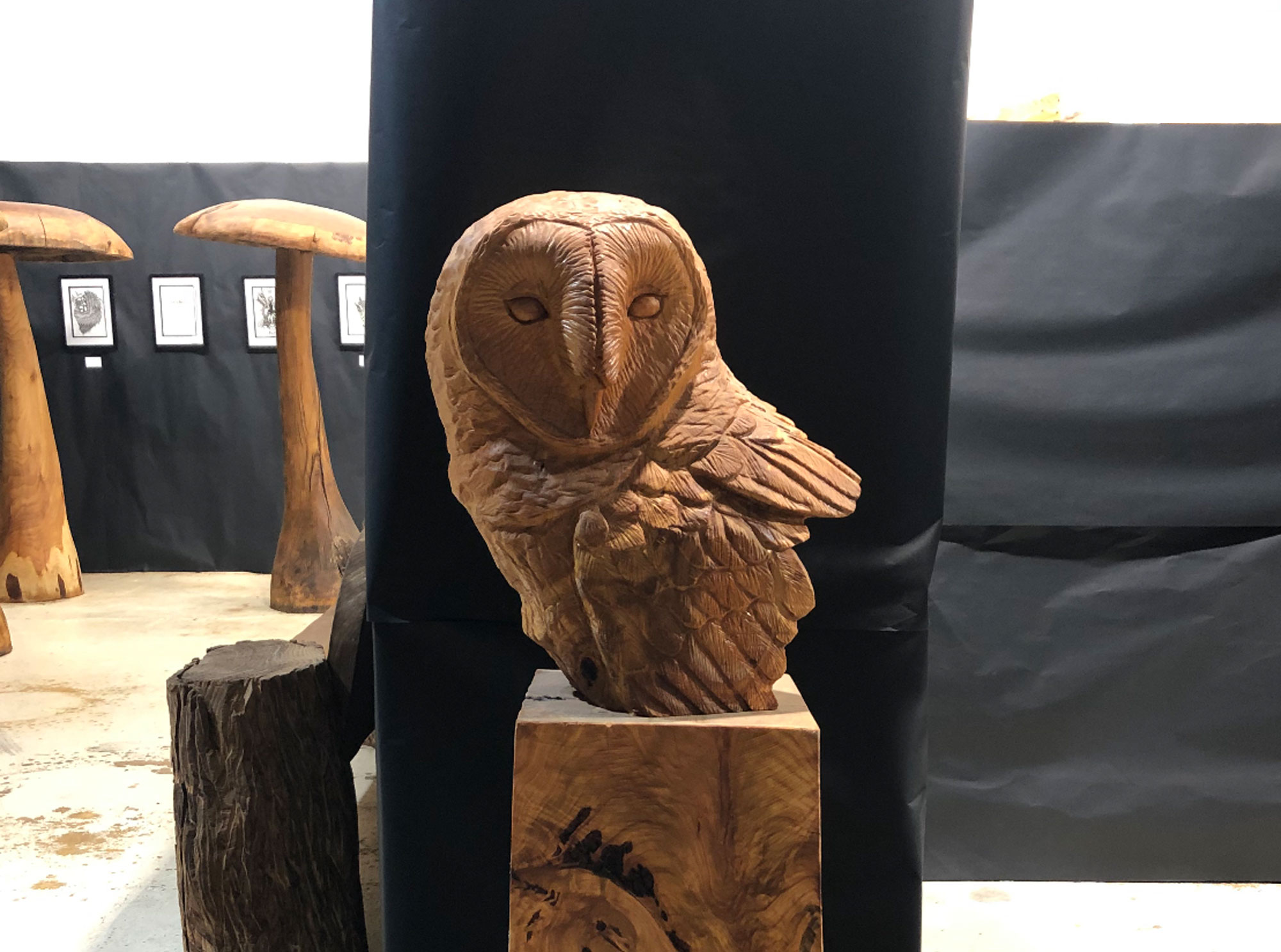 Wooden barn owl bust sculpture