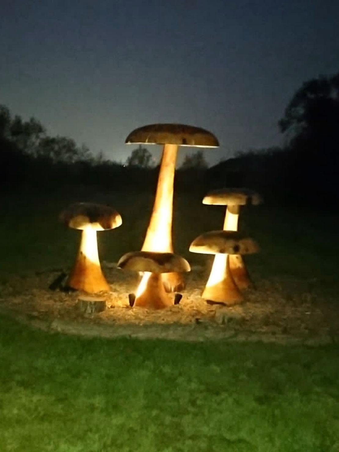 Giant Mushroom carvings