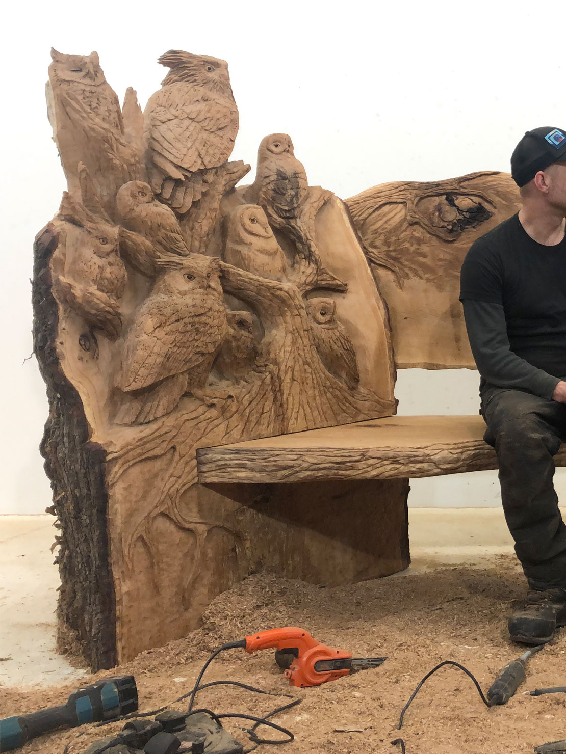 Carved wooden owl bench by Matthew Crabb