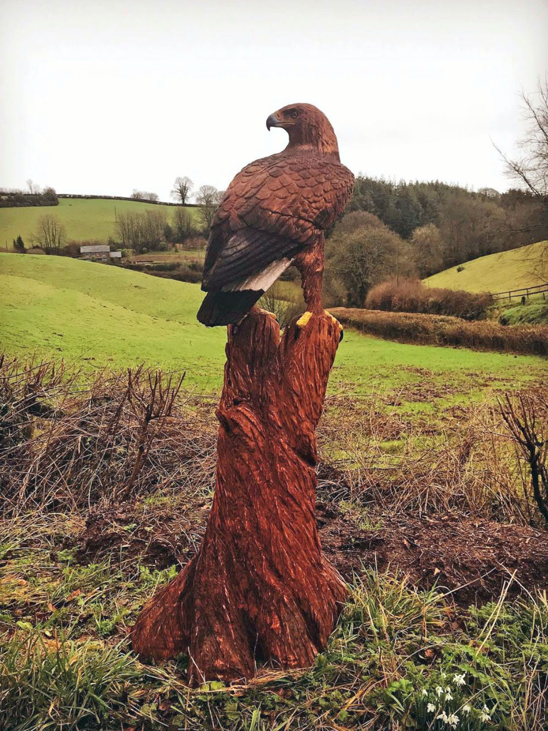 Wooden sculpture of a golden eagle Wooden sculpture of a golden eagle