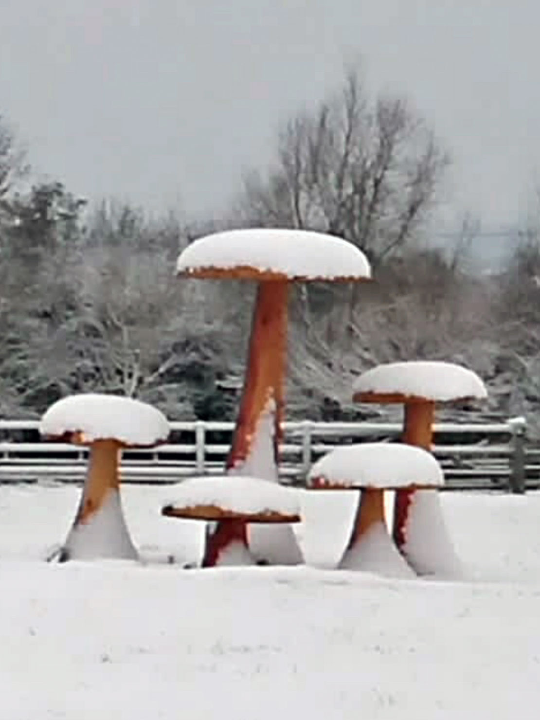 Giant Mushroom carvings
