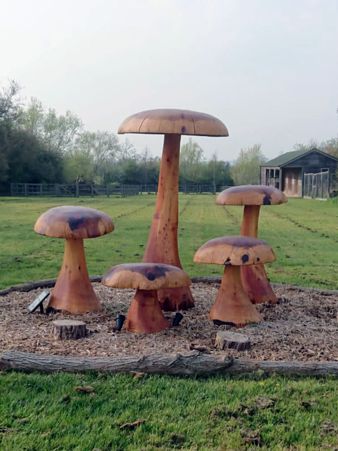 Giant Mushroom carvings
