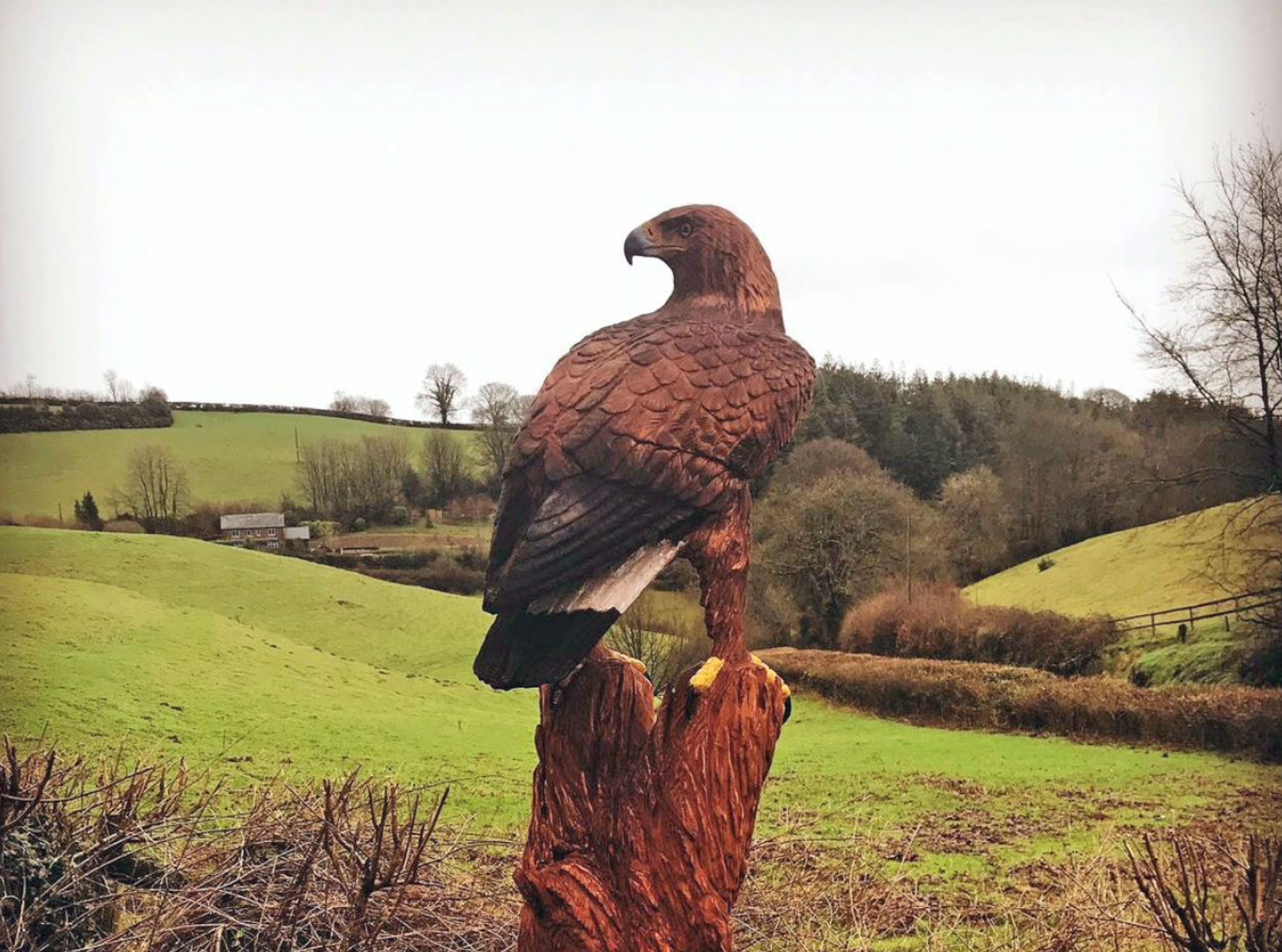Wooden sculpture of a golden eagle Wooden sculpture of a golden eagle