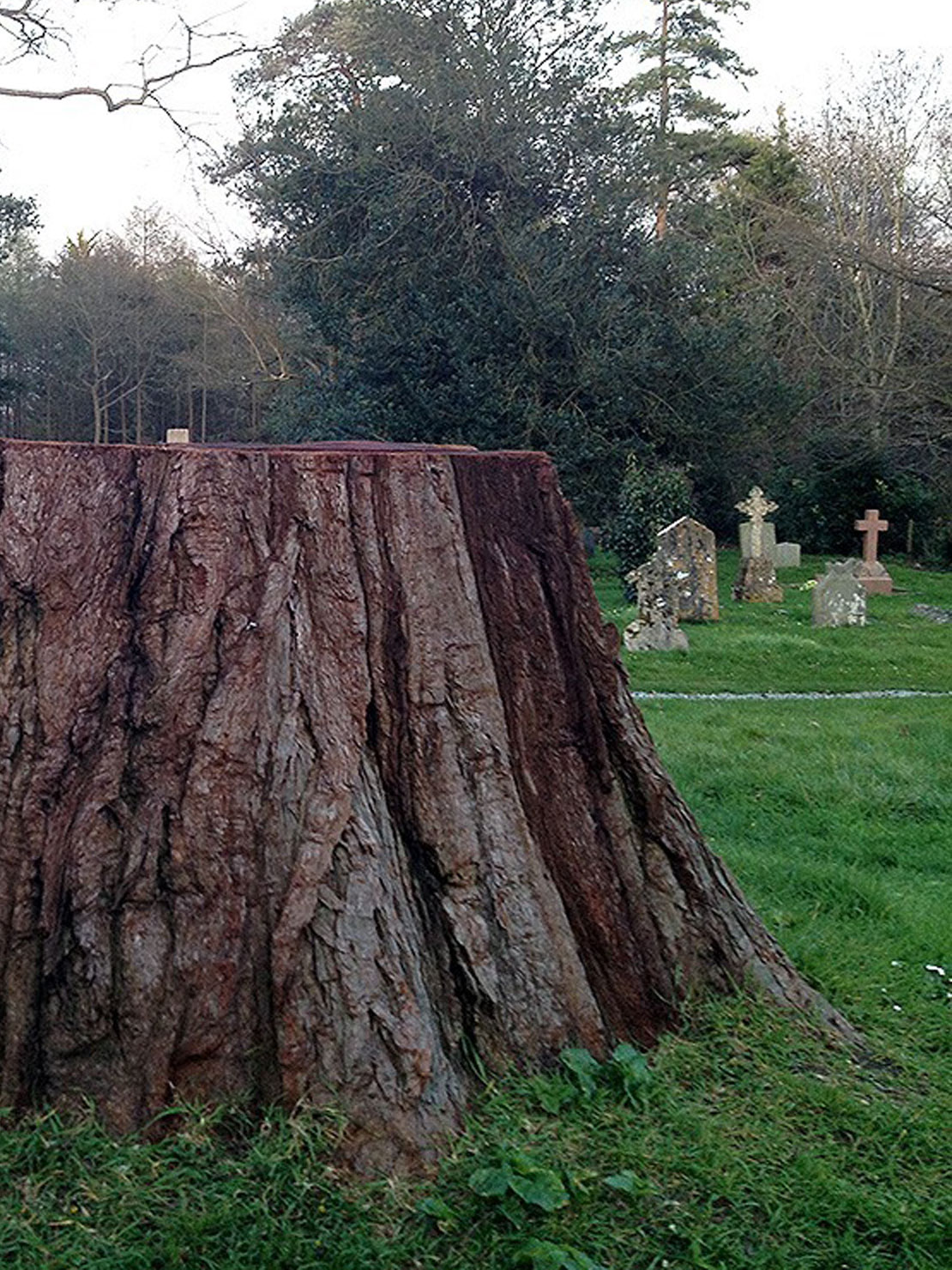 Carved wooden jubilee bench at Butleigh Church by Matthew Crabb
