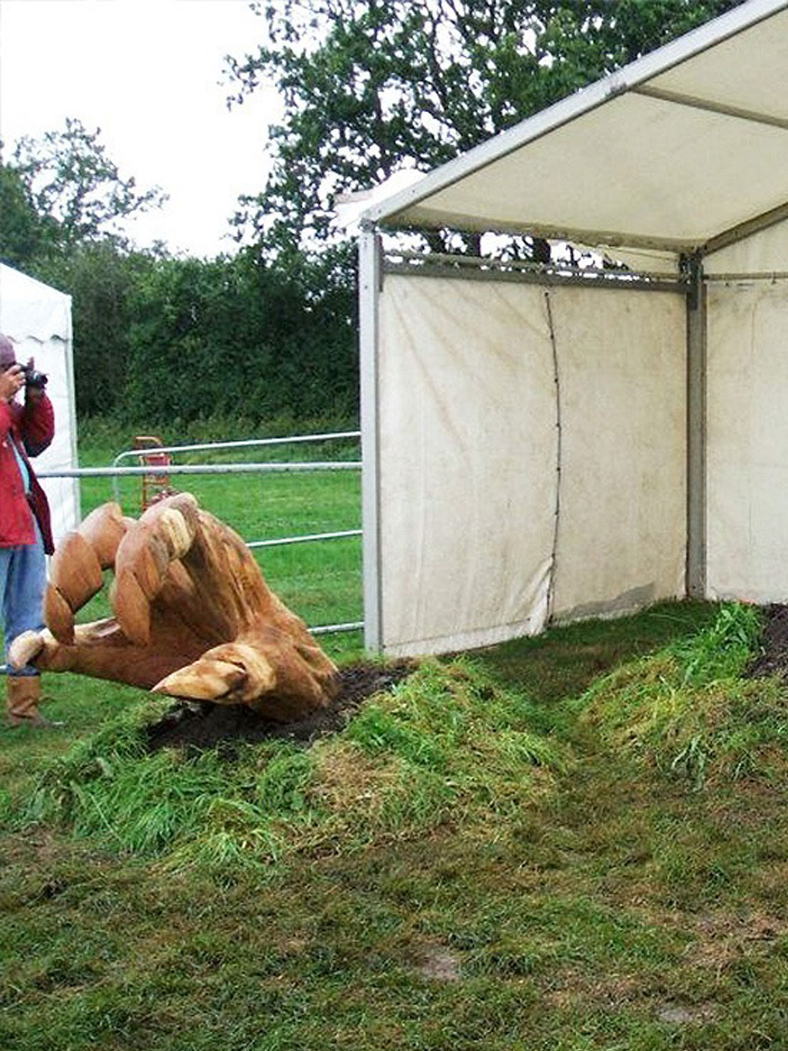 Kraken rising sculpture