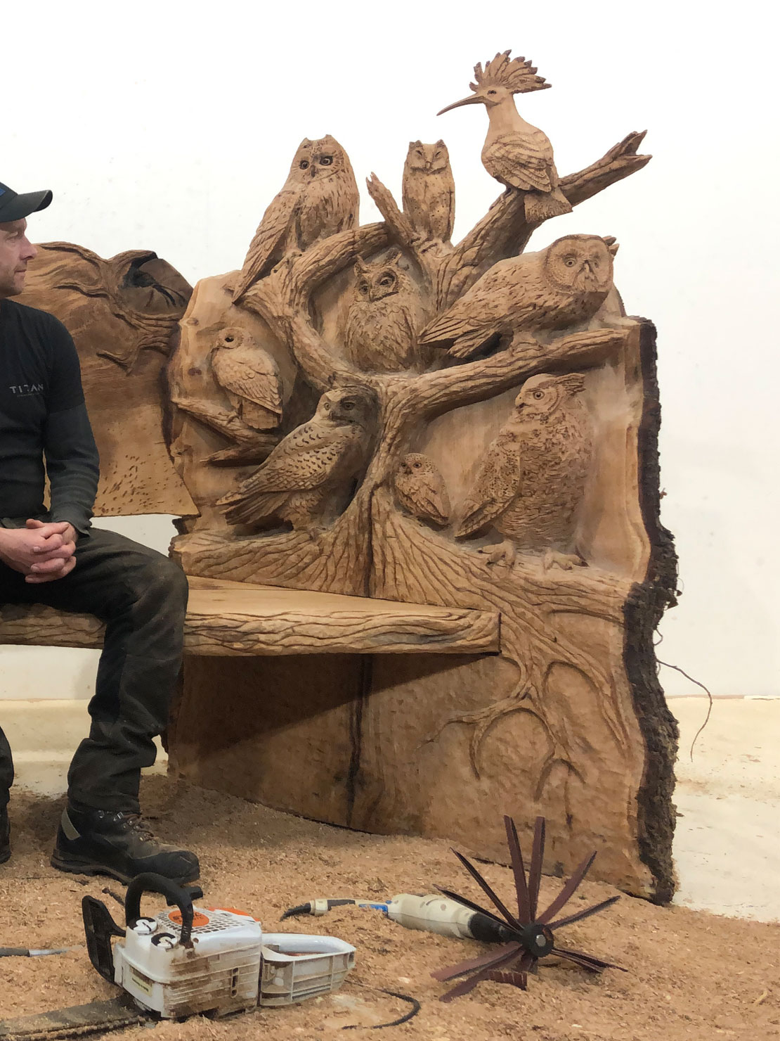 Carved wooden owl bench by Matthew Crabb