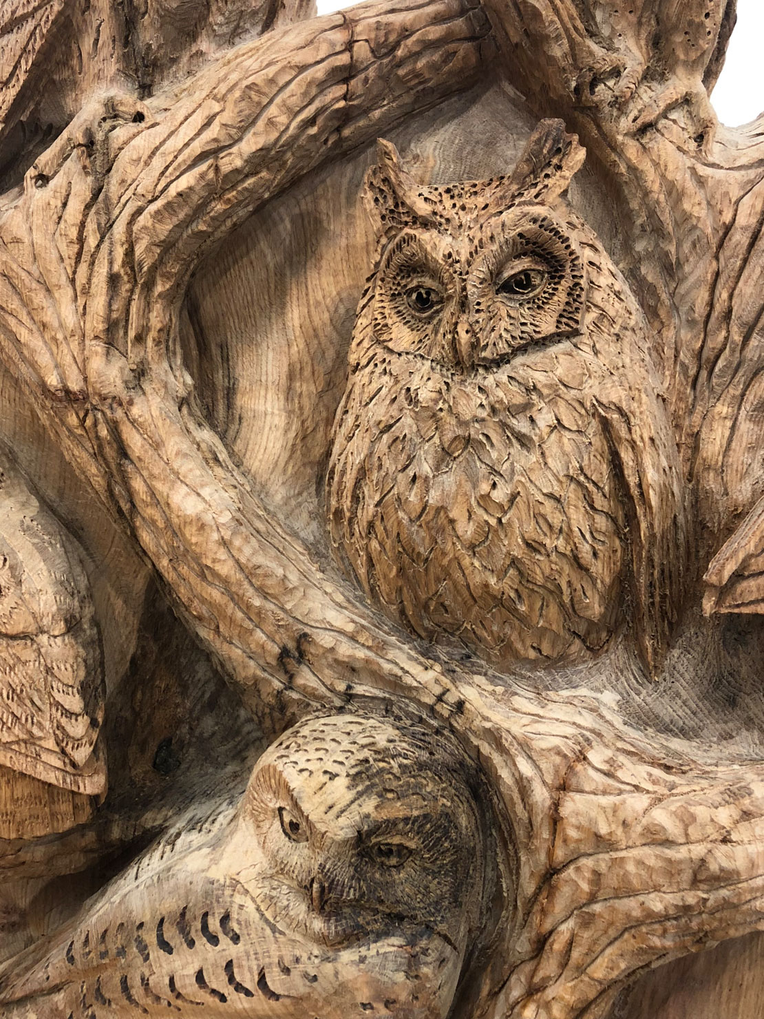 Carved wooden owl bench by Matthew Crabb