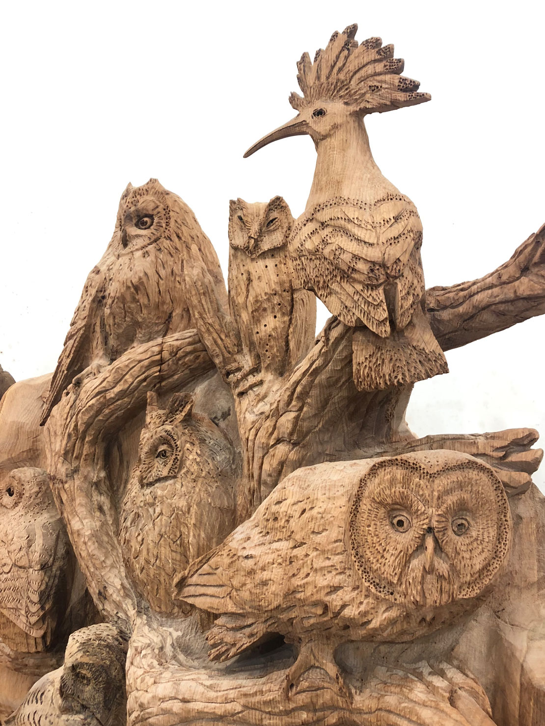 Carved wooden owl bench by Matthew Crabb