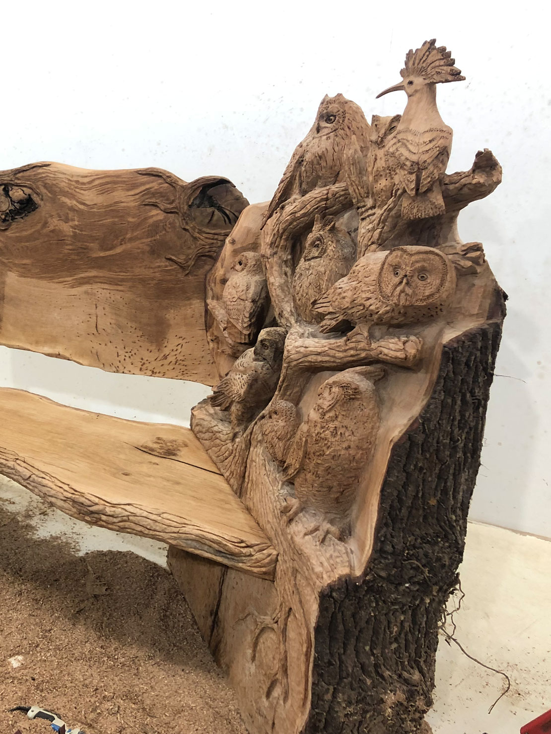 Carved wooden owl bench by Matthew Crabb