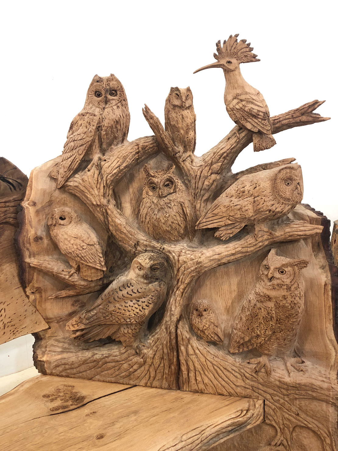 Carved wooden owl bench by Matthew Crabb
