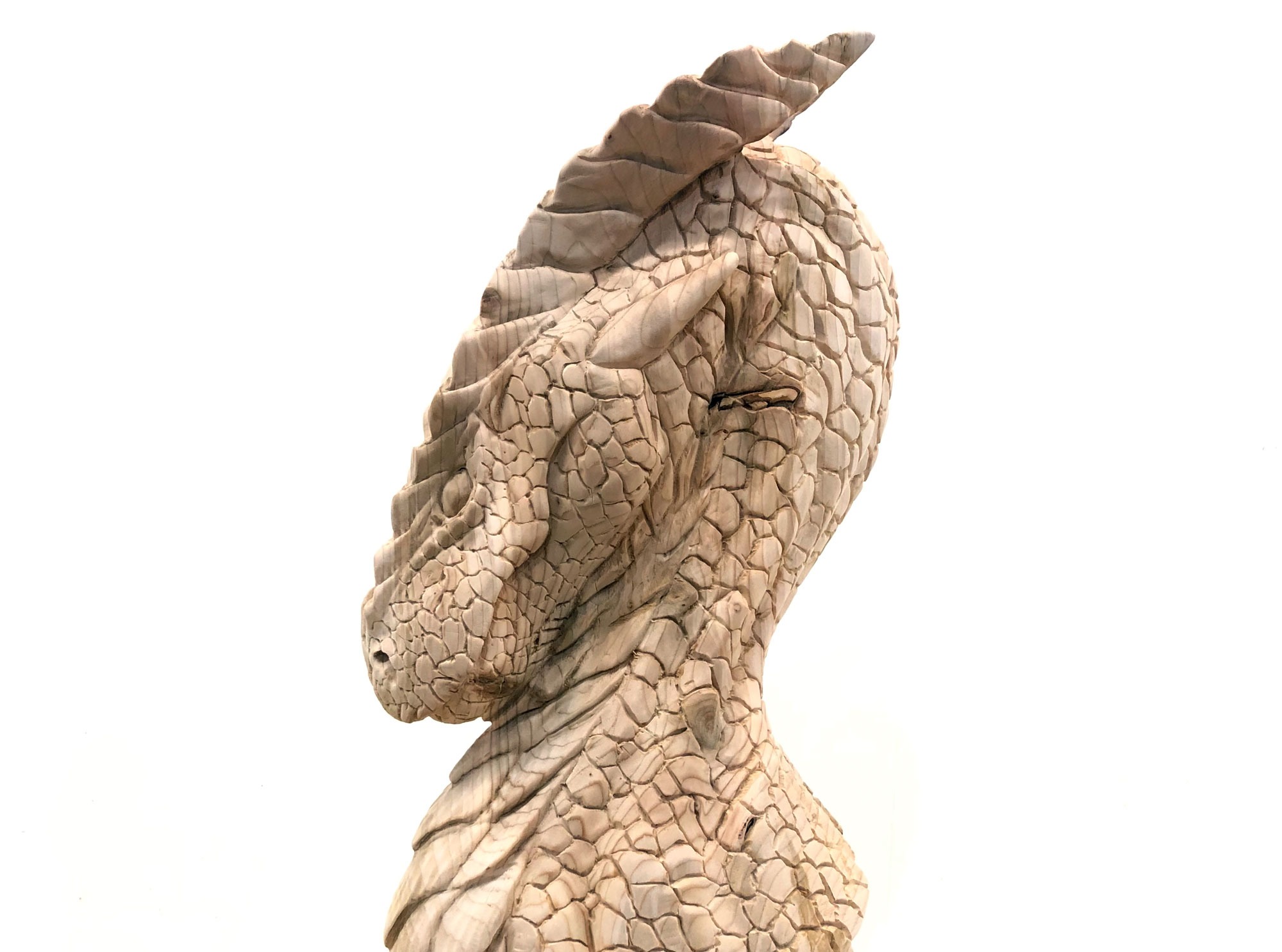 Dragon bust Dragon bust