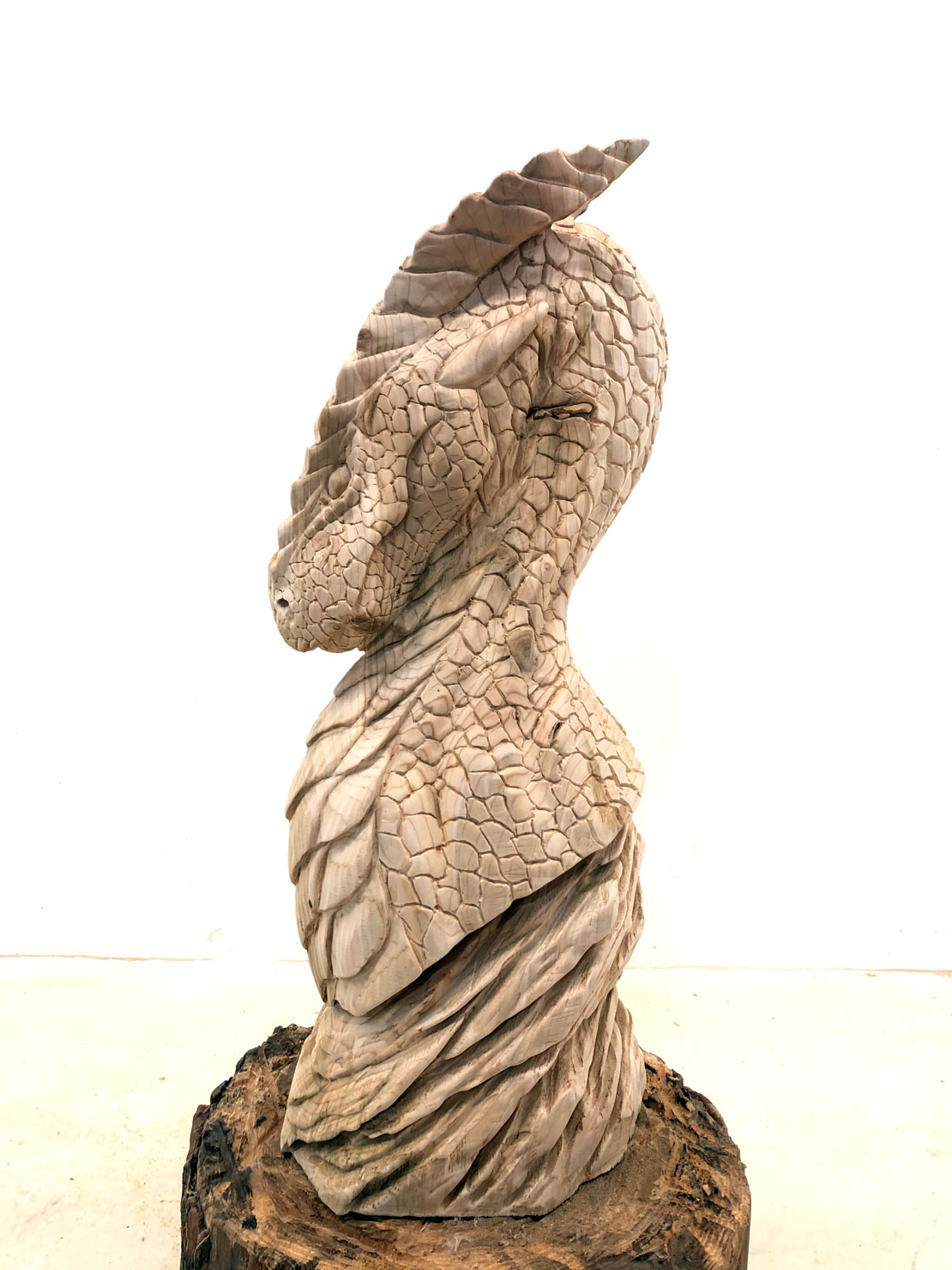 Dragon bust Dragon bust