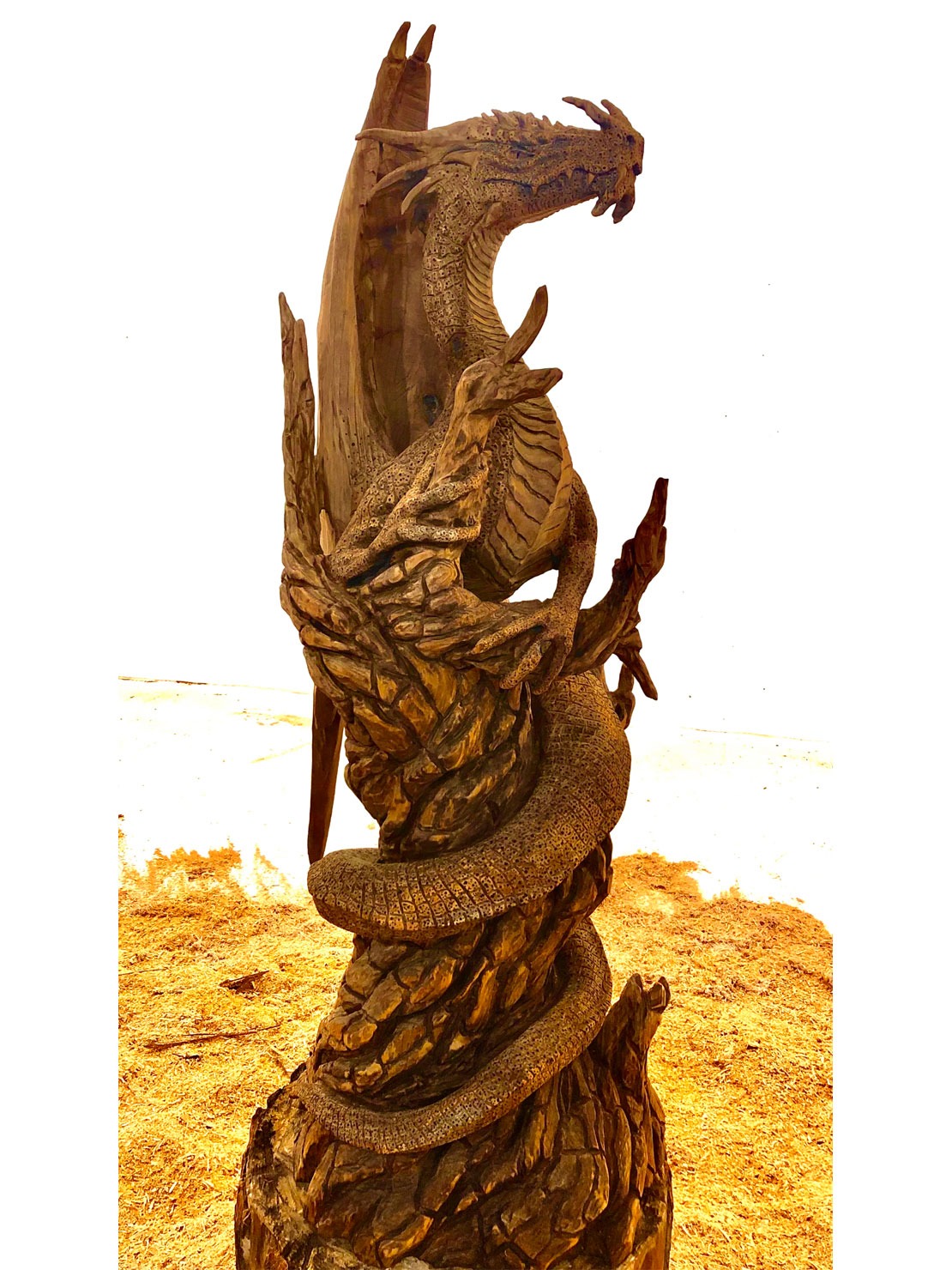 Tree Dragon