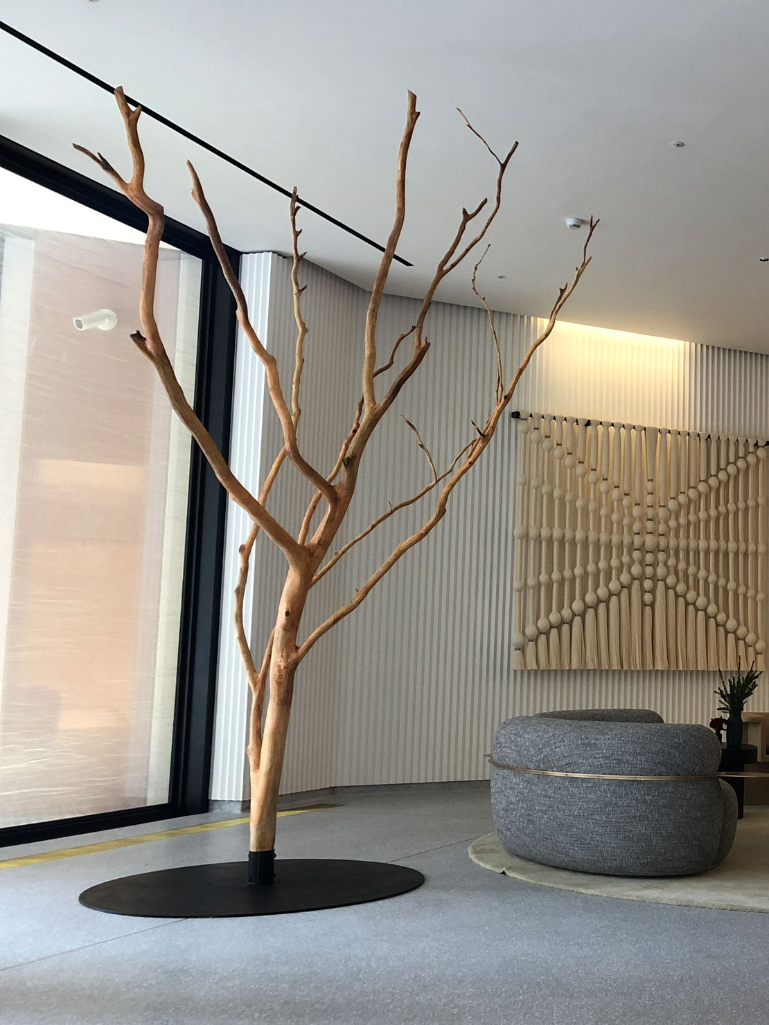 Tree feature by Matthew Crabb