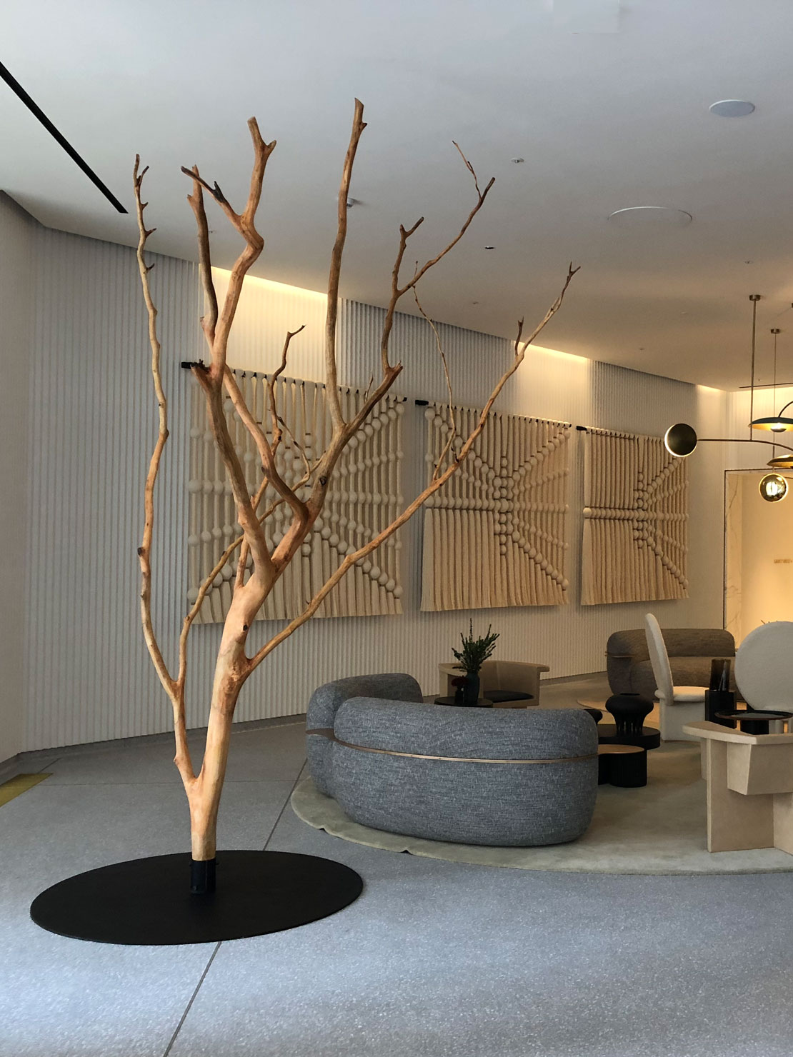 Tree feature by Matthew Crabb Tree feature by Matthew Crabb